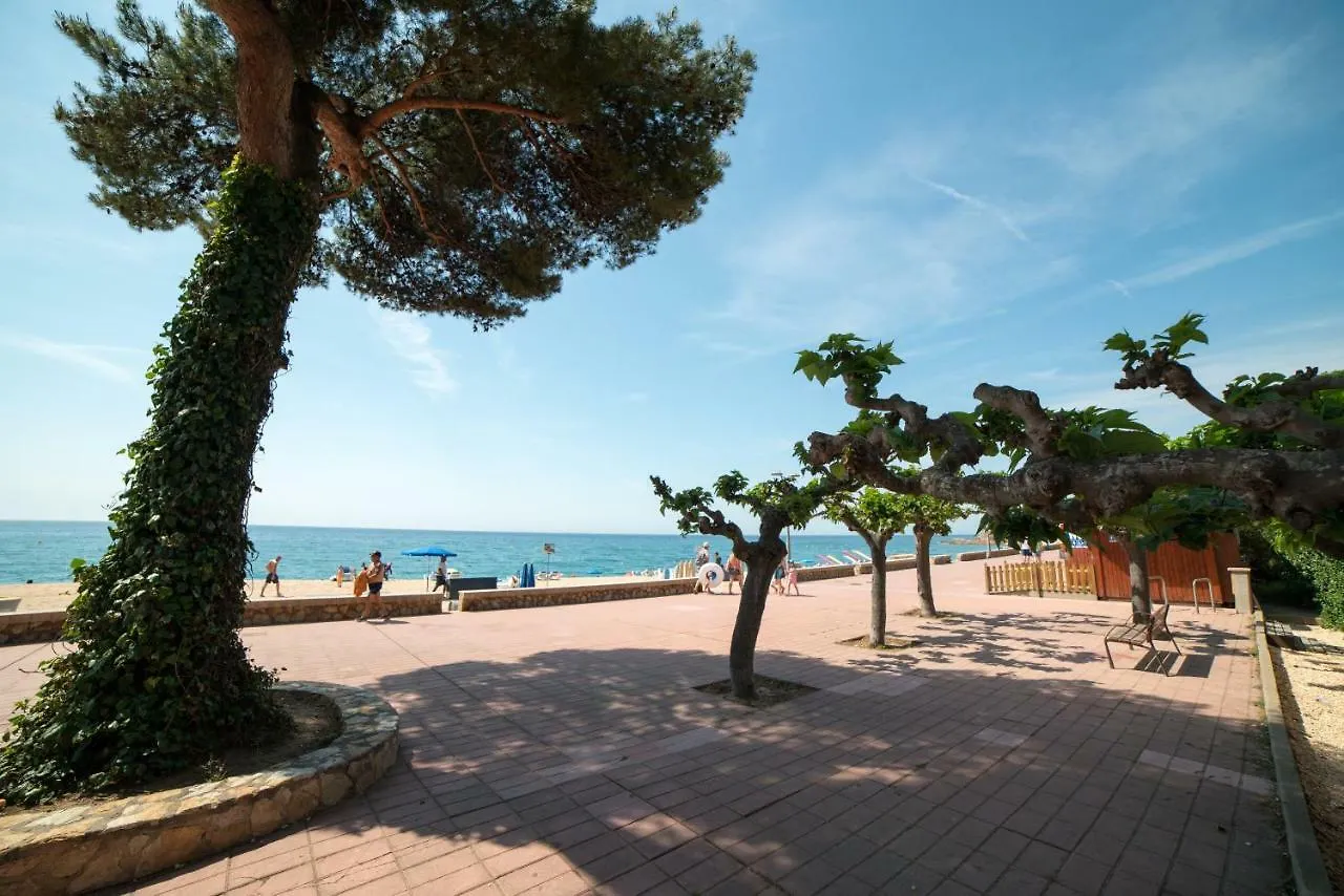 Villa Jaruco Lloret de Mar