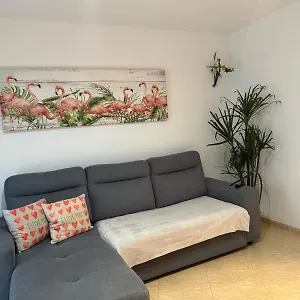  Апартаменты Parrot's House